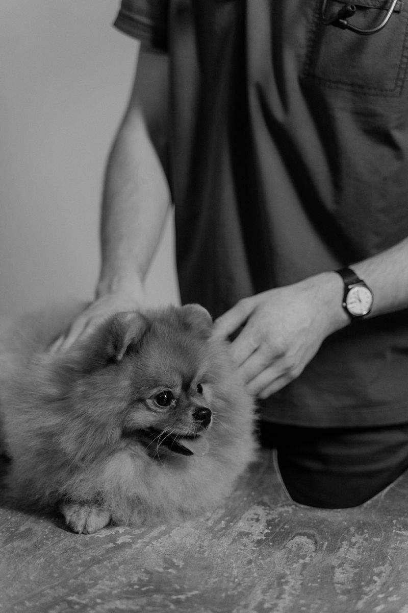 Zahngesundheit Müller - Image 11